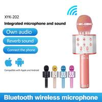 Bluetooth Karaoke Mikrofon